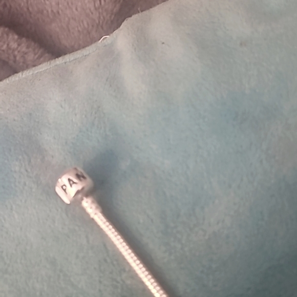 Pandora Charm Bracelet - Picture 5 of 8